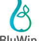 Bluwin+logo