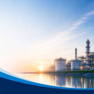 BluWin and Process Factory partnership